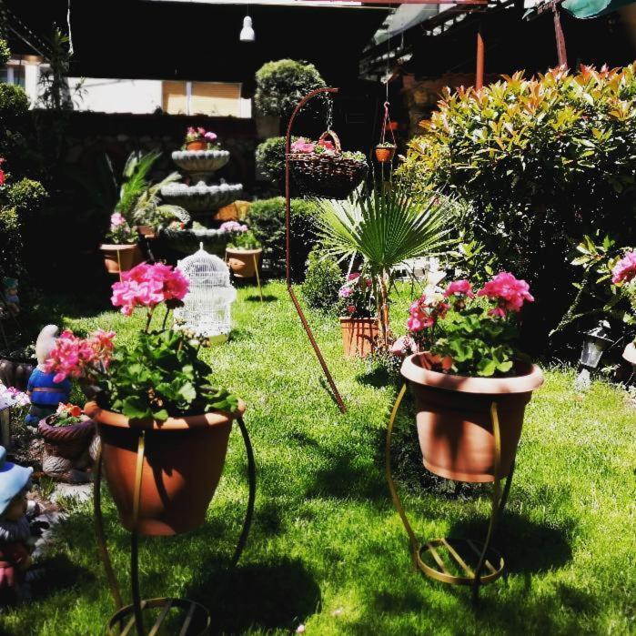 Gala-Garden Hotell Bitola Eksteriør bilde